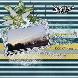 Winter Sky