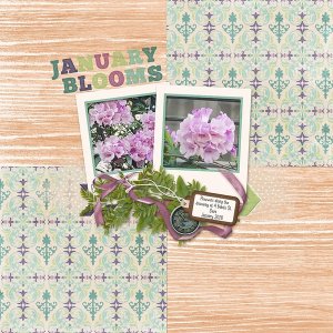 January Flowers