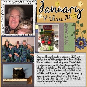 January 2023 Project 365 Challenge - Week 1