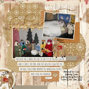Wild 4 Christmas kit by Designs by Connie Prince