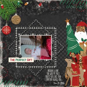 Wild 4 Christmas kit by Designs by Connie Prince