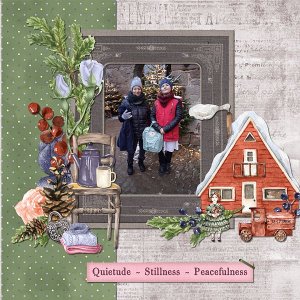Quietude-Stillness