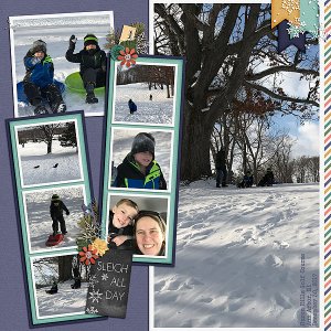 Sledding