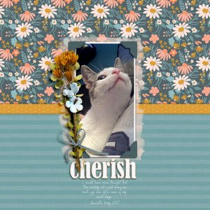cherish