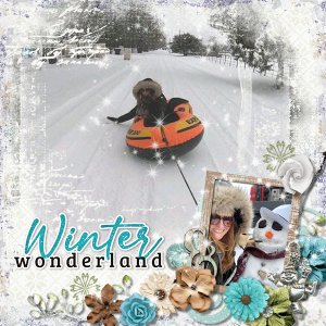 Winter Wonderland