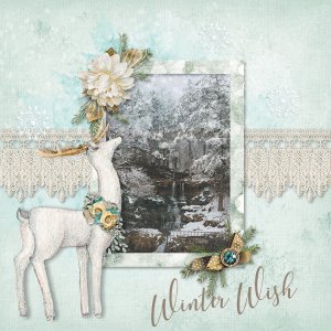Winter Wish