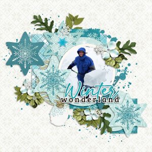 Winter Memories