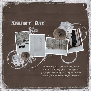 Snowy Day