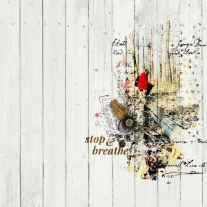 Stop+Breathe