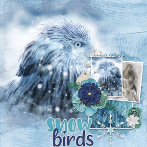 Snow Bird