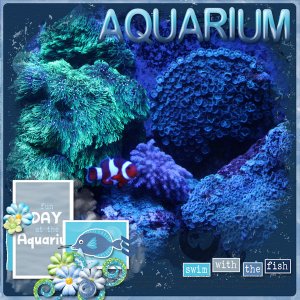 Aquarium