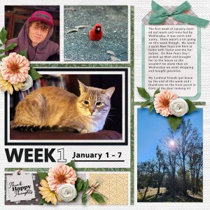 Project 365 - Week 1