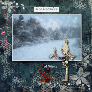 Memories of Winter