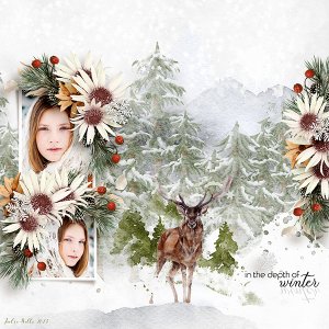 in the depth of winter