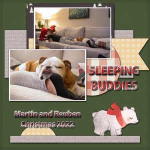 Sleeping Buddies