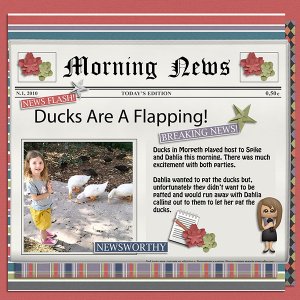 News Flash