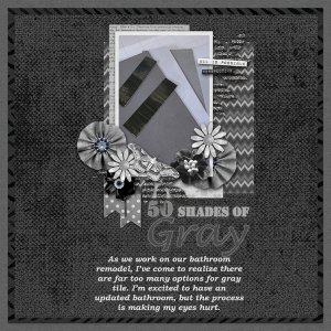 50 Shades of Gray