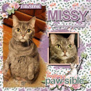 Missy