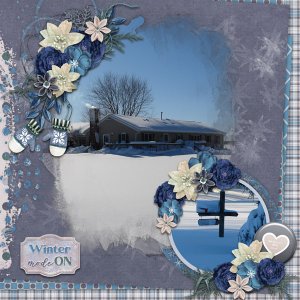 Funky Fun Blends 1 Temp #1-Miss Fish Winter Mode ON-GS January Brush Challe