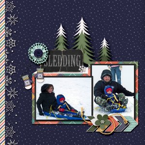 SNP_Snowbound_2010-1web