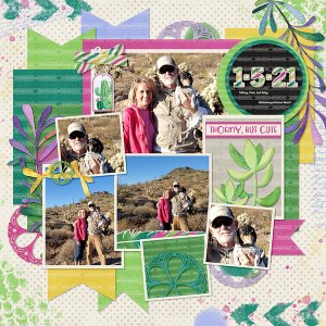 Prickly kit from Designs by Connie Prince