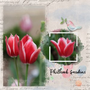 Philbrook Gardens