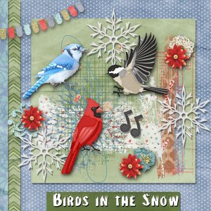 Birds in the Snow