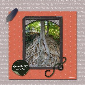 Tree Roots