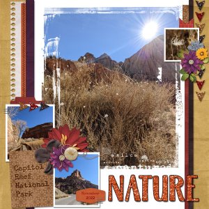 Beautiful Nature