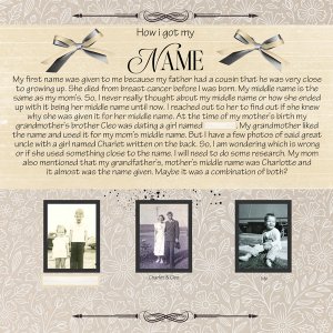 My Story Birth through age 5-Karen Schulz