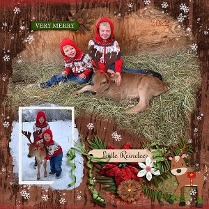 Little Reindeer