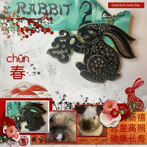 2023 Year of the Rabbit