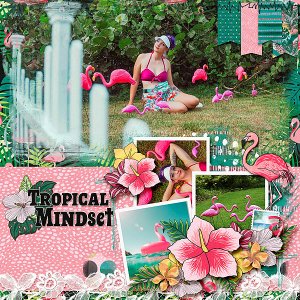 Tropical Mindset