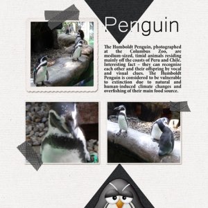 Penguin