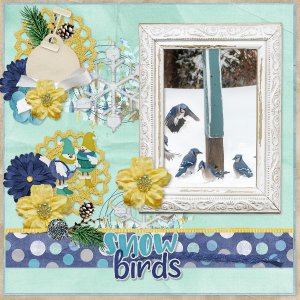 snow_birds1