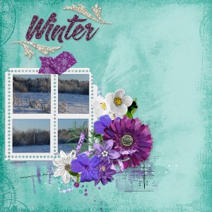 Winter