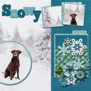 Snow Day