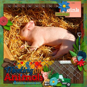 Meeting the animals