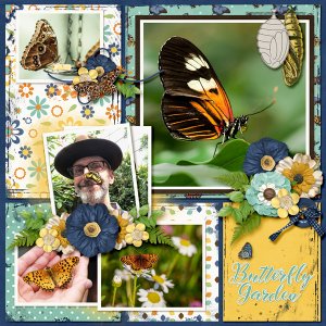 Butterfly Garden