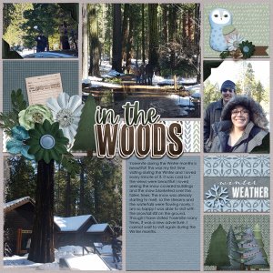 In The Woods