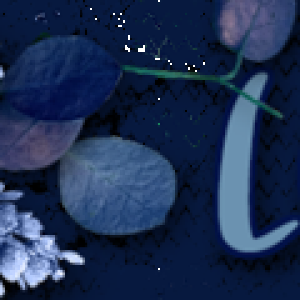 January 2023 Signature