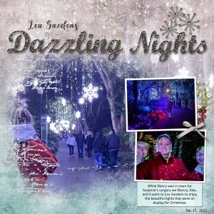 Dazzling Nights