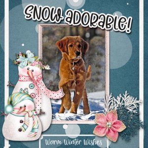 Warm Winter Wishes