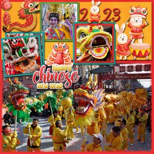 Year of the Rabbit