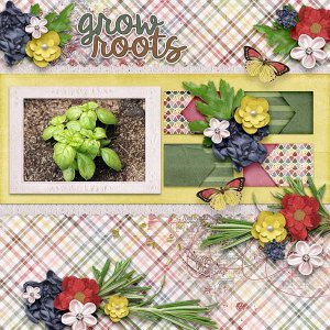 Grow Roots