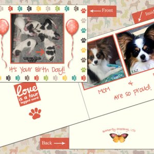 Happy Birth Day