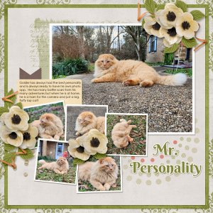 Mr. Personality