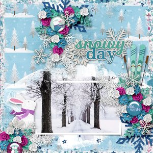 Snowy Day