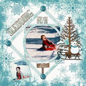 Sledding Fun