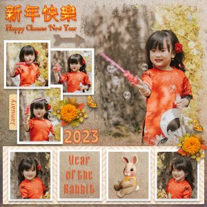 The Year of the Rabbit